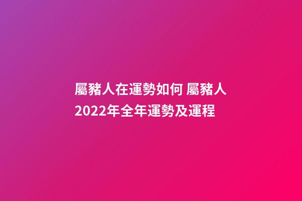 屬豬人在運勢如何 屬豬人2022年全年運勢及運程